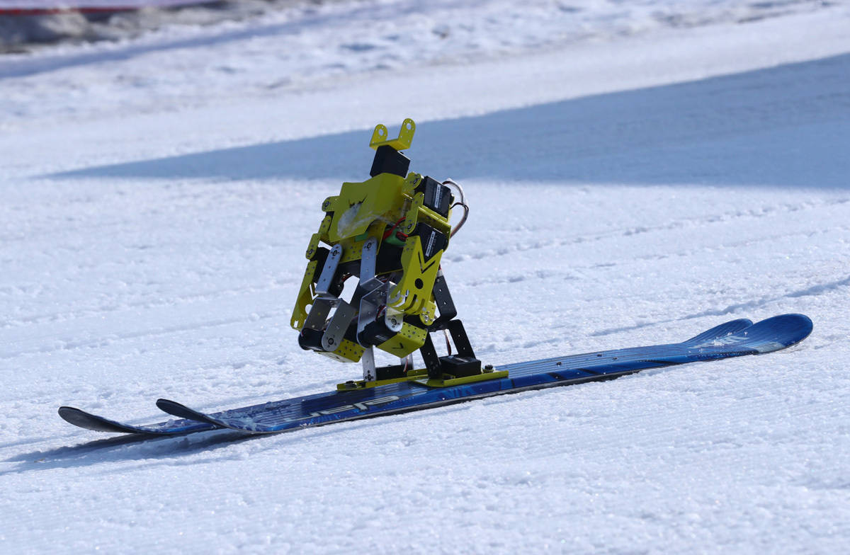 窗口期亚特兰大调整名单以备全明星赛，外线爆发环节打磨，引发热议，团队化学反应显著的简单介绍-九游会网址